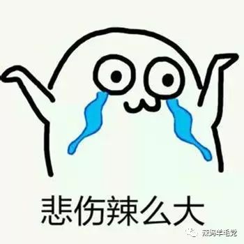 ysl黑鸦片的平价替代,ysl黑鸦片平价替代