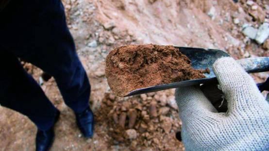 盗墓贼会武术吗,盗墓贼敢挖皇陵吗