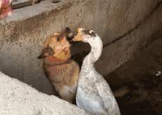 「笑多会怀孕」——一不小心滑了……