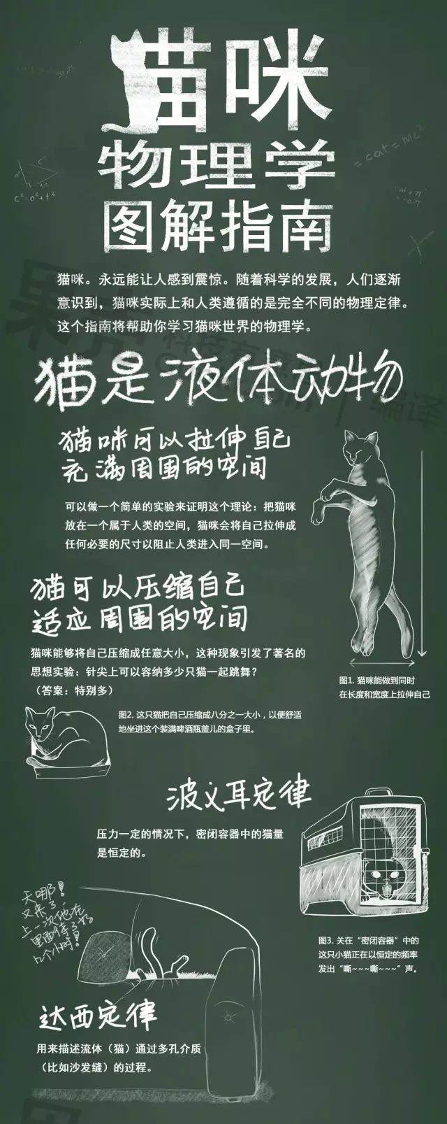 猫，究竟是固体还是液体？物理学（严肃地）说：可以都是！