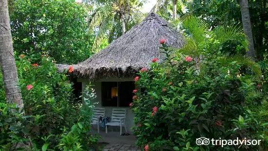 2023十大免签海岛,斐济海岛美景