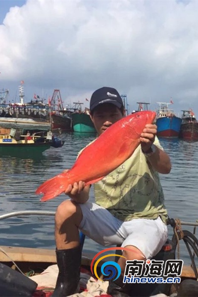 三亚海鲜鱼王,三亚鱼王怎么样