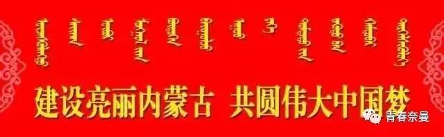 内蒙古自治区机构改革实施意见,内蒙古自治区改革最新方案