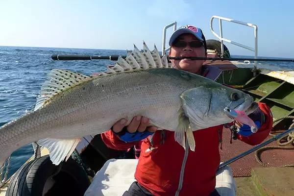 自己制作路亚竿和路亚轮,怎么挑选路亚竿分别都能钓什么鱼