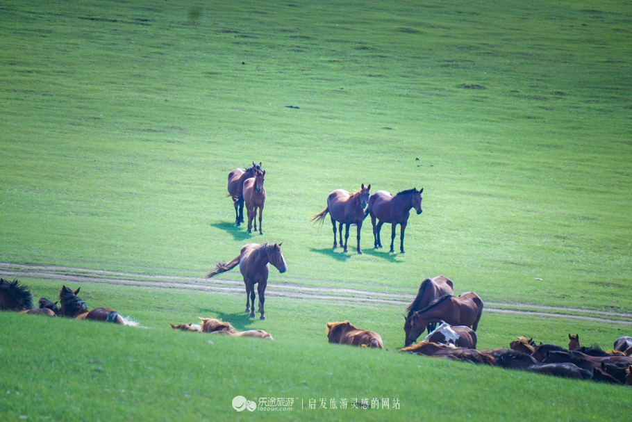现代中国赤兔马,当代赤兔马