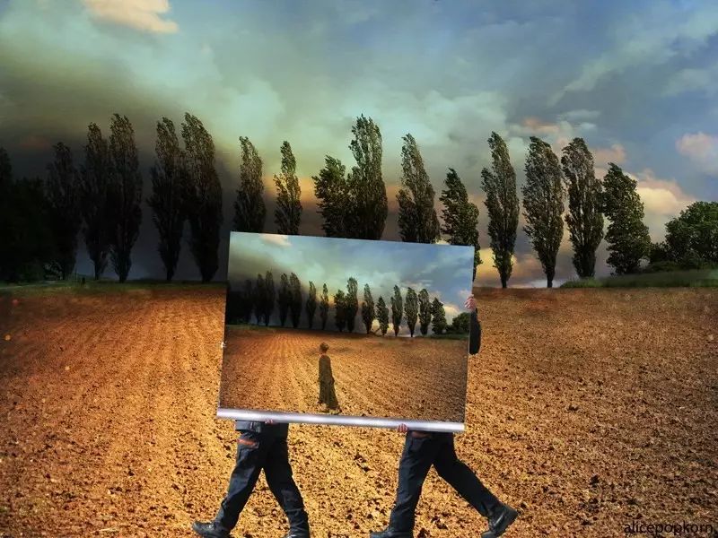 鑻辫璇荤墿鐭瘒灏忚鎺ㄨ崘,鑻辫鐭瘒灏忚