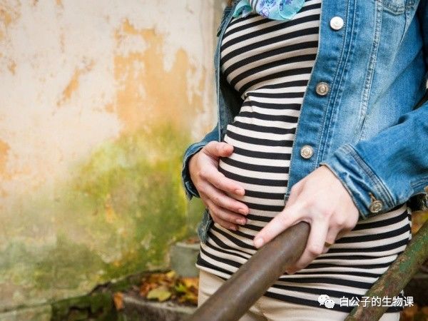 怀孕摔倒了对宝宝有影响吗,怀孕第一个月摔了一跤会流产吗