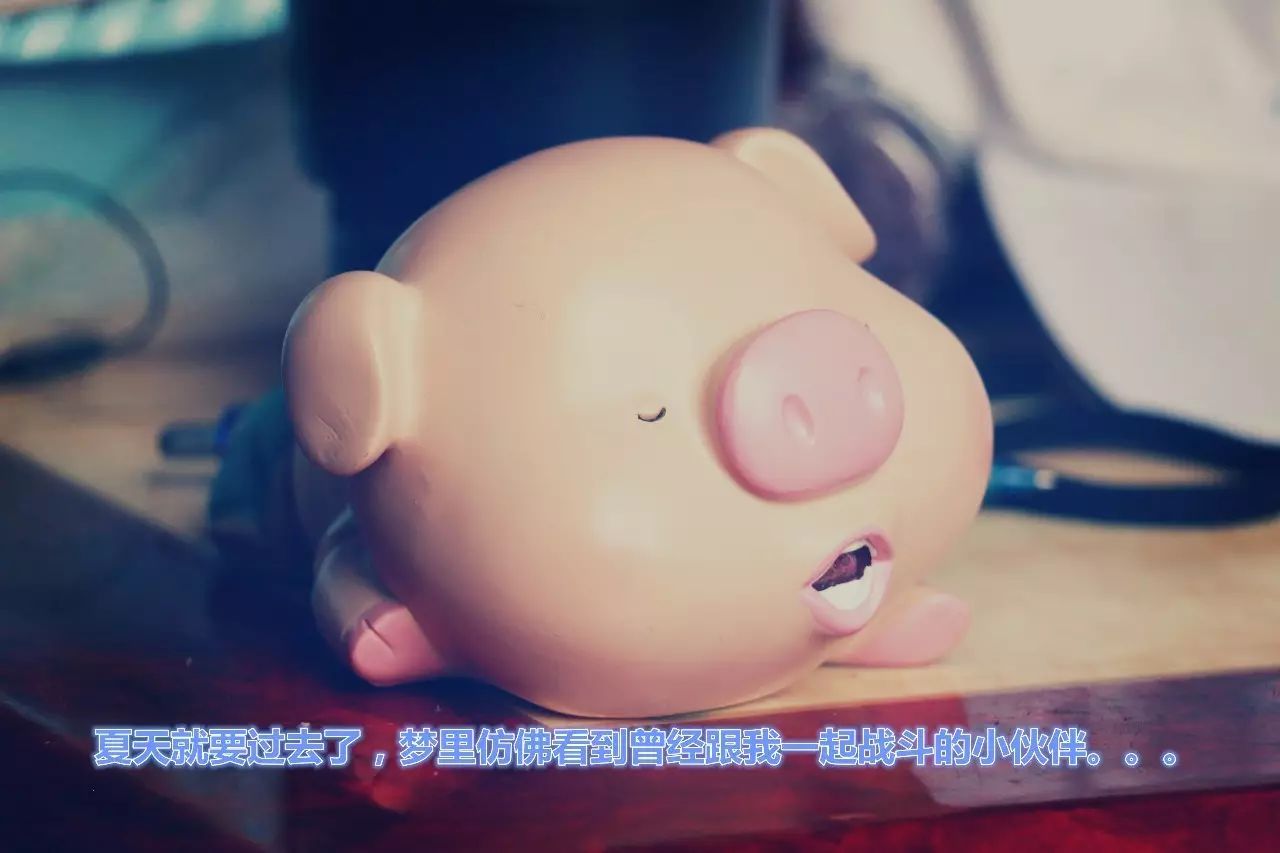 阵型九本,阵型六本