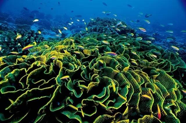 鍥藉鍦扮悊鏉傚織缇庡浘,鍥藉鍦扮悊鏉傚織楂樻竻澶у浘