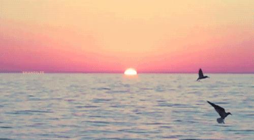 秋分你打算怎么过,秋分我们需要准备做什么