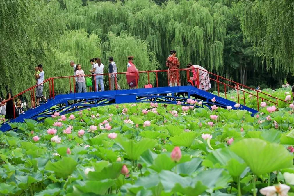 石河子秋季旅游攻略,石河子十一假期旅游推荐