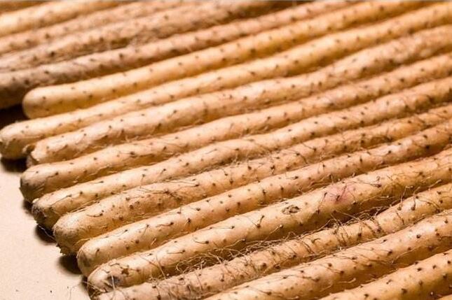 切山药不痒的方法,山药怎么切手才不会痒