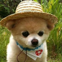 211旅游管理专业,211旅游管理专业毕业生现状