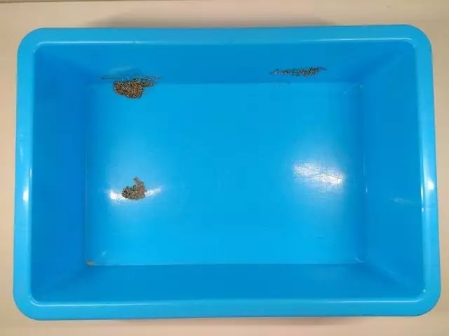 便宜好用膨润土,松木很不好吗