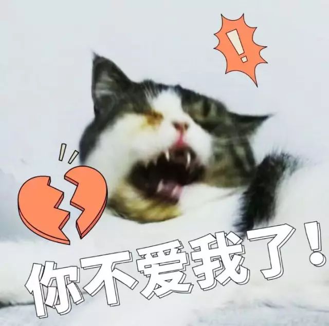 便宜好用膨润土,松木很不好吗