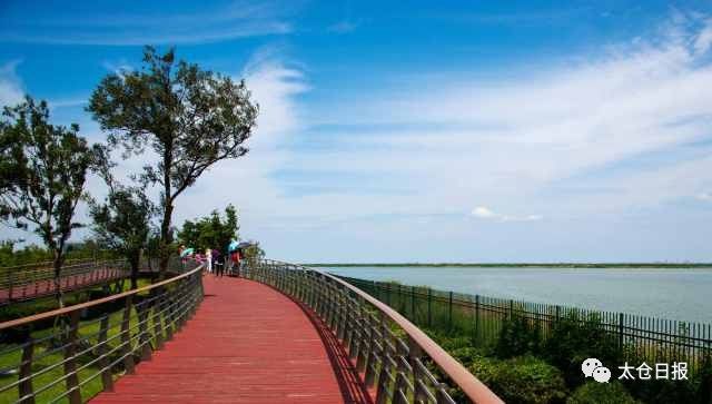 现在的浏河古镇,今天的浏河古镇