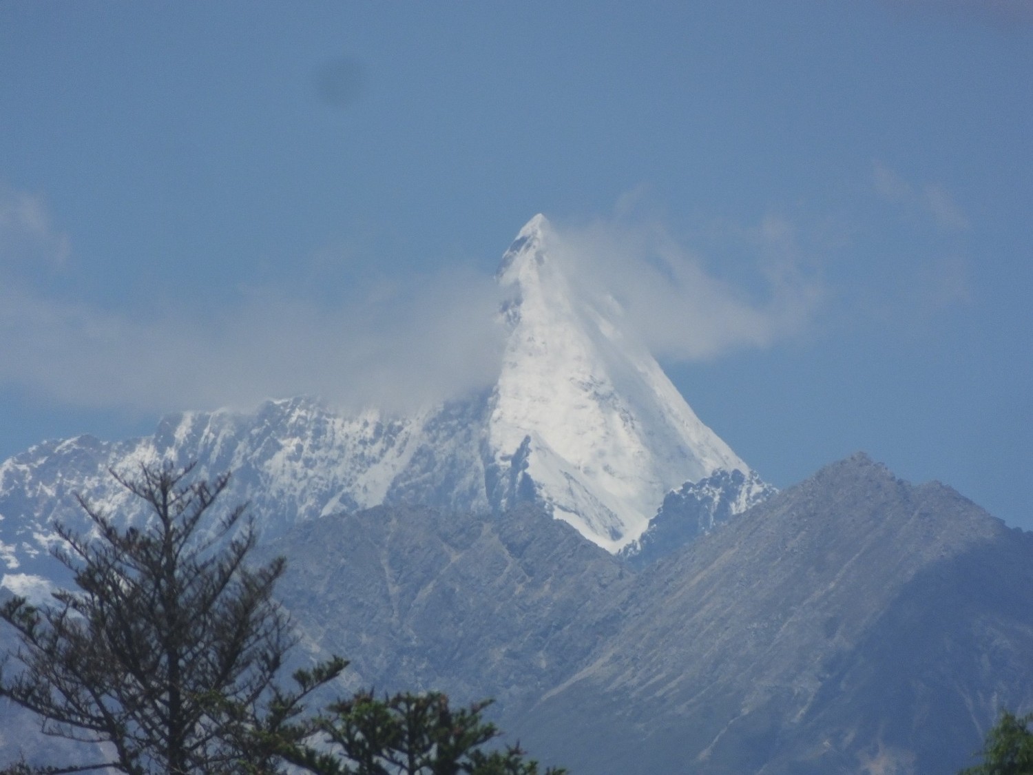泸亚东线沿途风景,泸亚线穿越原始森林