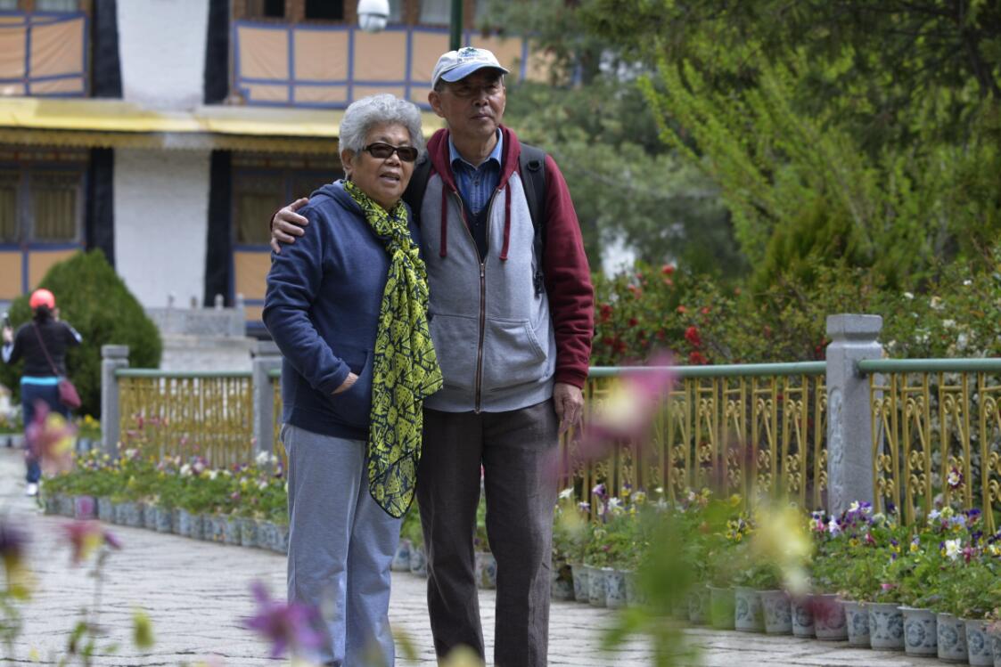 群芳争艳“宝贝园林”罗布林卡