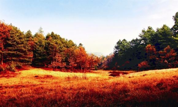 毕节七星关旅游区,毕节七星关攻略