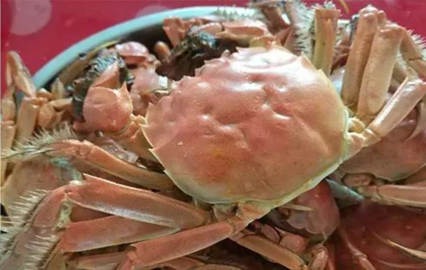 国庆额济纳旗旅游攻略,阿拉善国庆节游玩