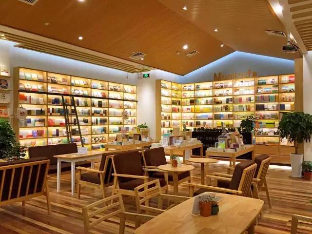 乐游｜国庆不出门的，来沈阳这些最美看书圣地，装文艺，玩自拍，看猫咪……都能满足你~