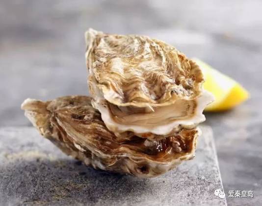 秦皇岛哪儿的海鲜便宜,秦皇岛海鲜值得推荐吗