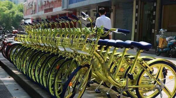 2020年酷骑单车退押金新进展,酷骑单车押金最新消息