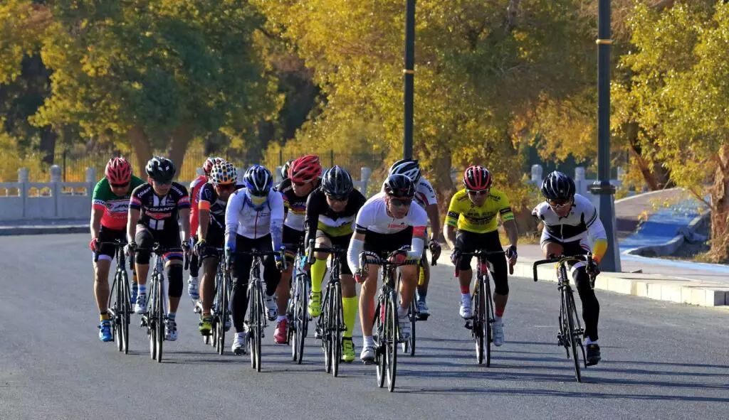 美丽的内蒙古额济纳胡杨林,恋上南山路美图