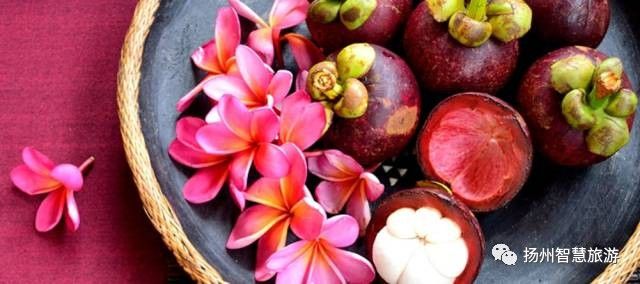 一年四季每个月吃的水果,10到11月吃哪些水果