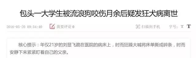 狗苗抓回来要打疫苗吗,买狗苗给狗苗打什么疫苗