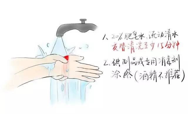 狗苗抓回来要打疫苗吗,买狗苗给狗苗打什么疫苗