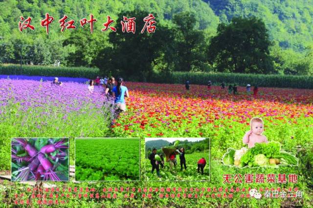 第一次来星级酒店觉得自己老土,星级酒店好进么