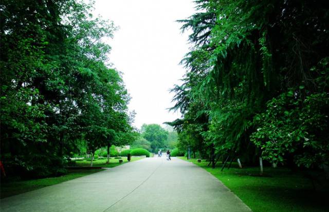 二百块钱玩南京一天,南京有哪些不要钱的游玩地方