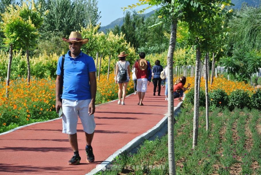秦皇岛市海港区怎么成了“朝颜”？