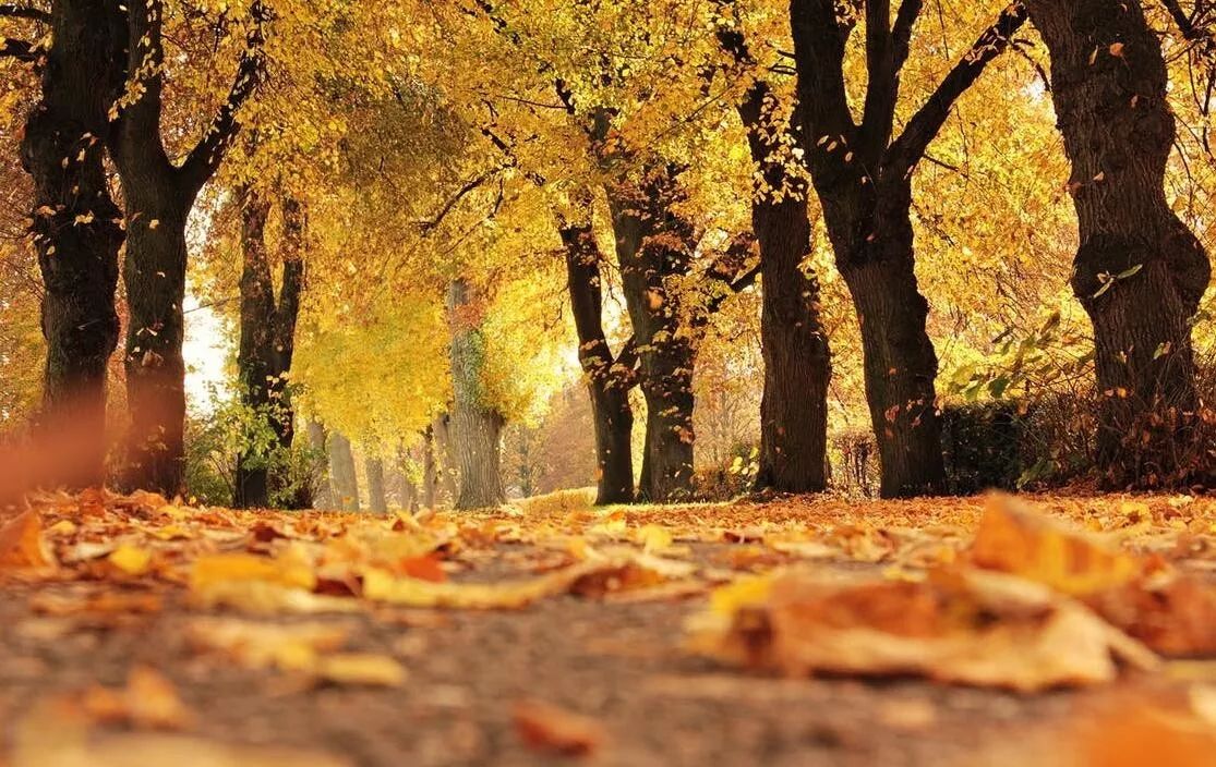 干燥的季节要开始护肤啦,最干燥的季节湿度