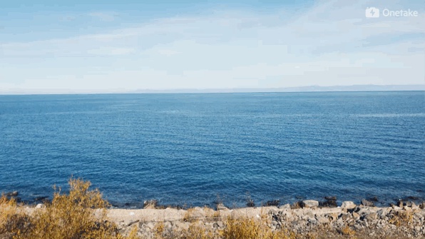 豆瓣日记:几乎所有人都说我是疯了才会坐火车去俄罗斯