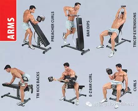 撸铁动作图解大全,健身训练八大经典动作健身干货