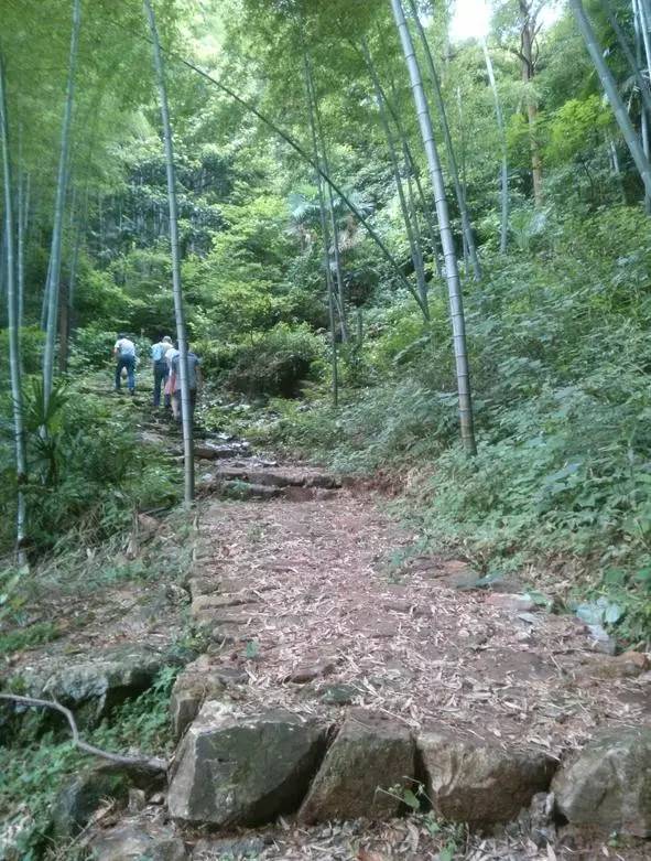 走不完的山川大地,走不完的川西看不完的美景