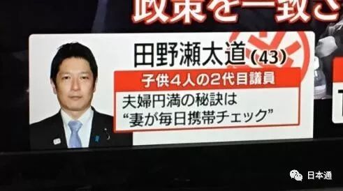 日本参院选举候选人,日本历次众院选举结果