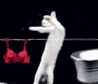 南京小长假最新消息,国庆假期南京还能去吗