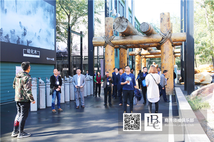 参访野马集团：解密新丝绸之路上的“马夫”精神