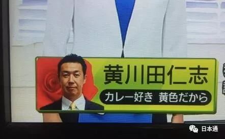 日本参院选举候选人,日本历次众院选举结果