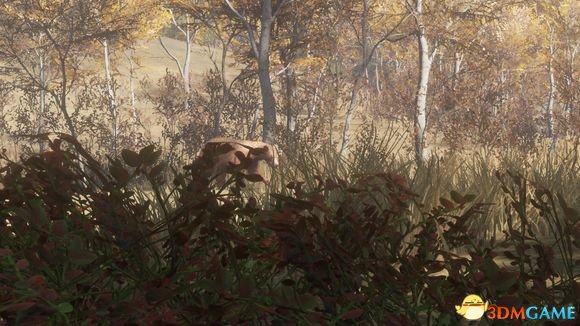 猎人野性的呼唤部分野兽打猎技巧分享