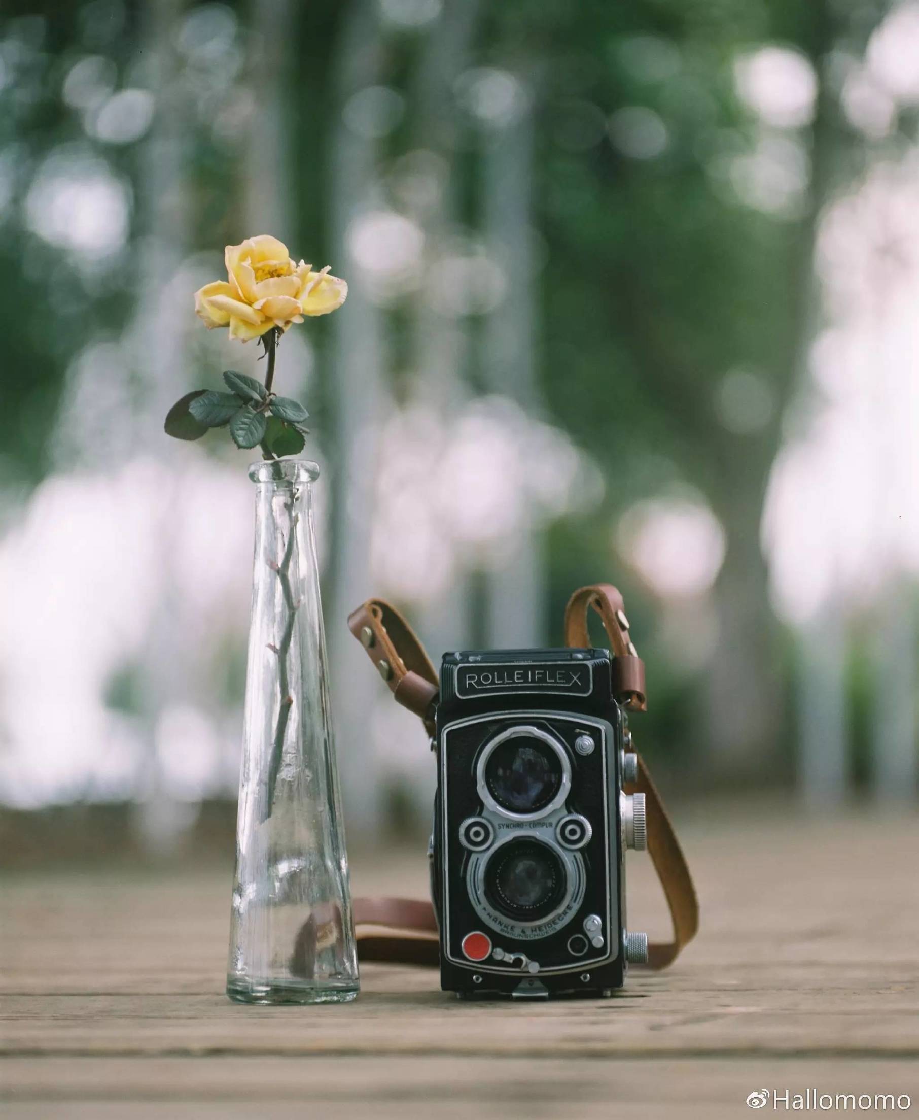 中画幅胶片机推荐,有哪些值得买的胶片机