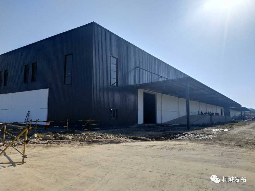 拥抱新时代|插上腾飞的翅膀——近五年柯城区物流产业发展回顾