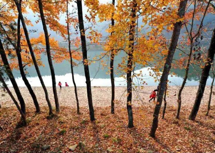 这是一份打开“楠溪江之秋”调色板的攻略！请收下！