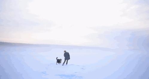 天冷了秋膘可以贴起来了,天冷了囤点膘过冬