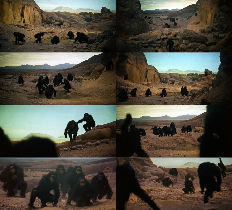 豆瓣日记玫瑰,豆瓣日记发不出去