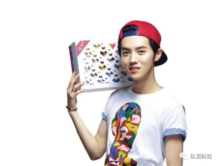鹿晗身家大概多少亿,鹿晗2017年福布斯收入榜