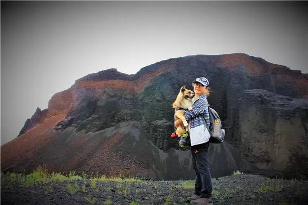 活动回顾｜欧帝亿主题狗狗巴士察哈尔草原深处探秘万年火山